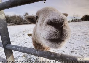 2023 Calendar - December