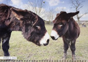2023 Calendar - February