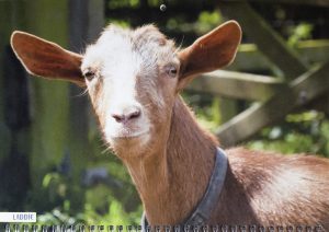 2023 Calendar - June