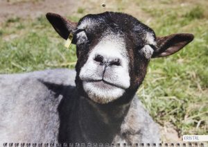 2023 Calendar - May