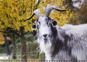 2023 Calendar - October