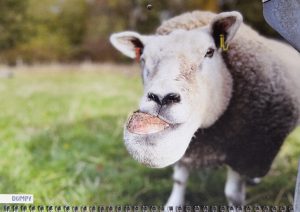 2023 Calendar - September