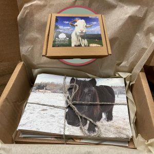 card pack